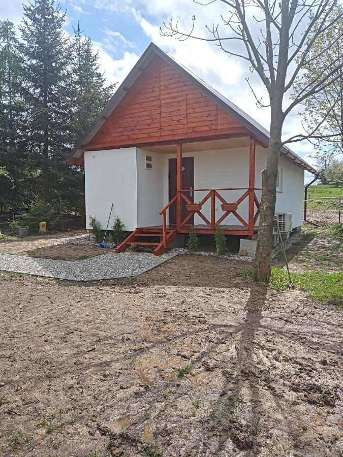 Agroturystyka Pod Sniezna Bystrzyca Kłodzka Exteriör bild