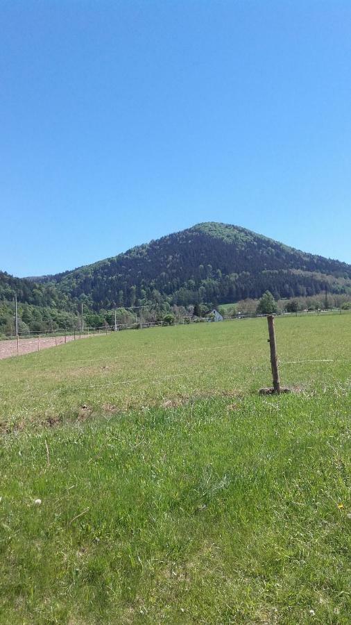 Agroturystyka Pod Sniezna Bystrzyca Kłodzka Exteriör bild