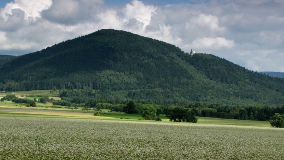 Agroturystyka Pod Sniezna Bystrzyca Kłodzka Exteriör bild